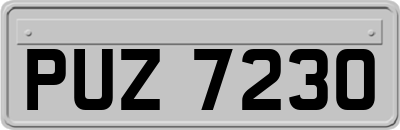 PUZ7230