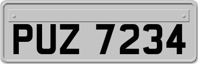 PUZ7234