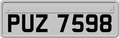 PUZ7598