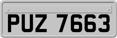 PUZ7663