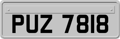 PUZ7818