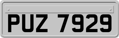 PUZ7929