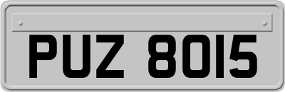 PUZ8015