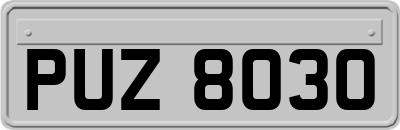 PUZ8030