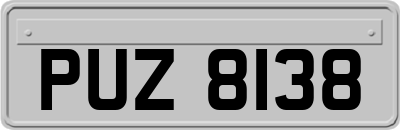 PUZ8138