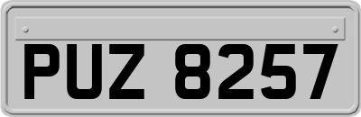 PUZ8257