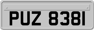 PUZ8381