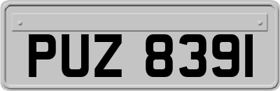PUZ8391