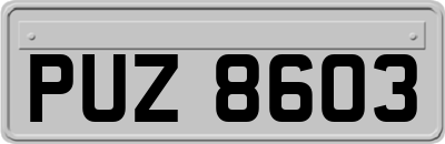 PUZ8603