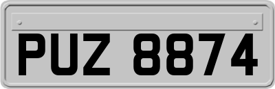 PUZ8874