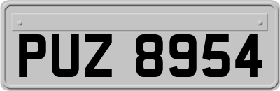 PUZ8954