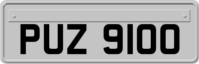 PUZ9100