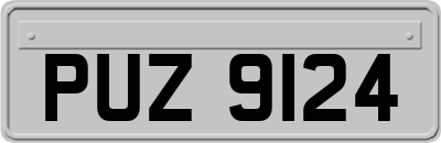 PUZ9124