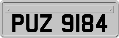 PUZ9184