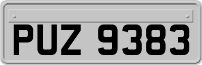 PUZ9383