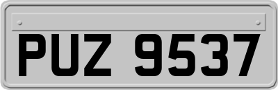 PUZ9537