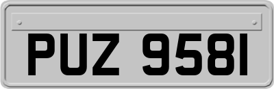 PUZ9581