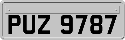 PUZ9787