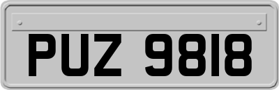PUZ9818