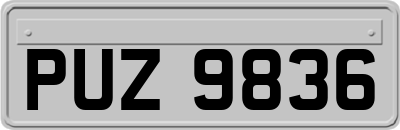 PUZ9836