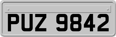 PUZ9842