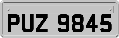 PUZ9845
