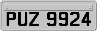 PUZ9924