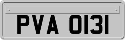 PVA0131