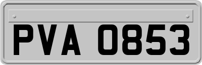 PVA0853