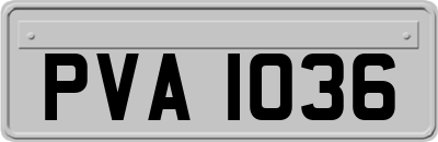 PVA1036