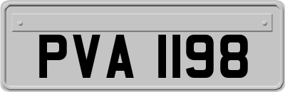 PVA1198