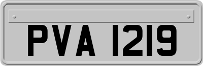 PVA1219