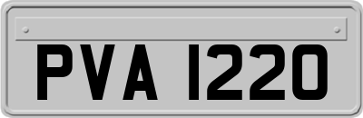 PVA1220