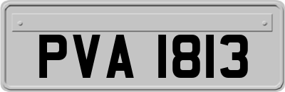 PVA1813