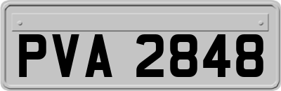 PVA2848