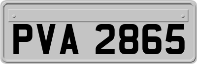 PVA2865