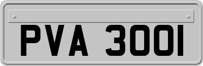 PVA3001