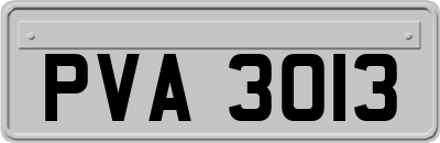 PVA3013