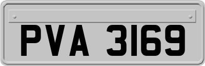 PVA3169