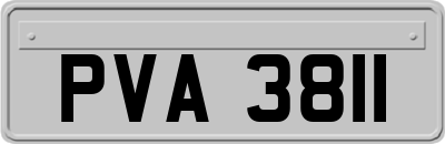 PVA3811