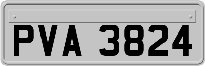PVA3824