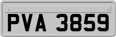 PVA3859