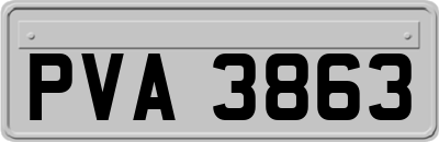 PVA3863