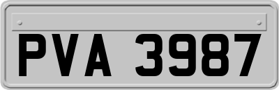 PVA3987