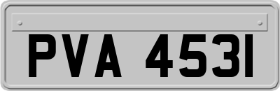 PVA4531
