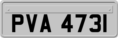PVA4731