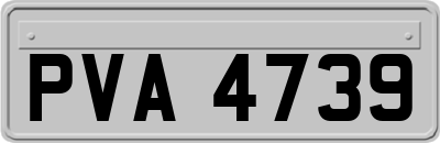 PVA4739