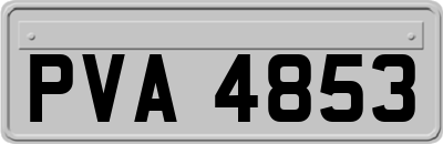 PVA4853