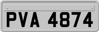 PVA4874