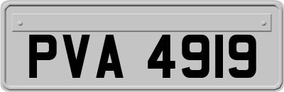 PVA4919